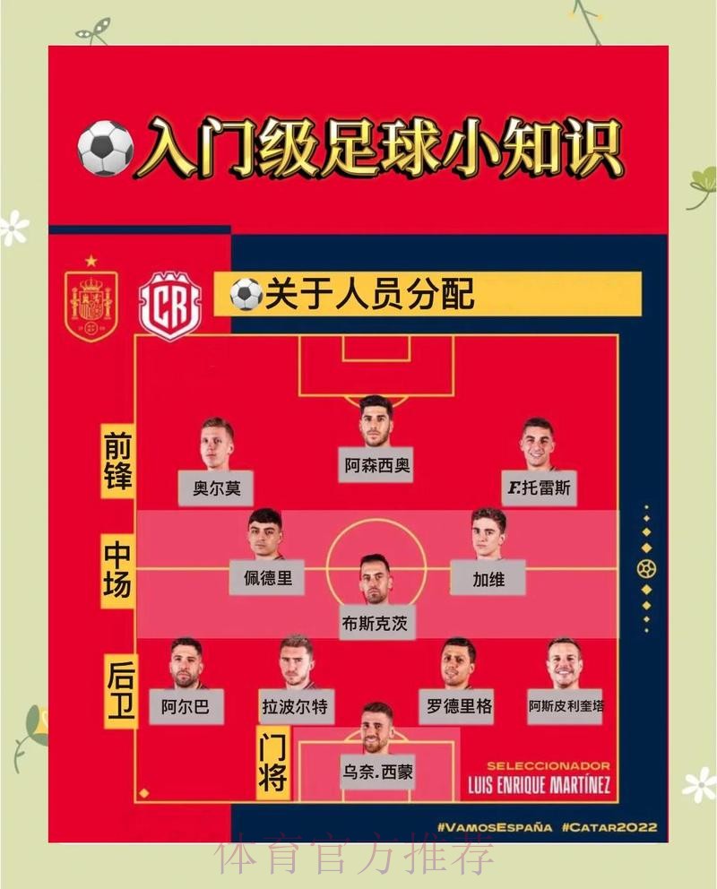 世界杯投注全景解读：入门教程与精选链接指南